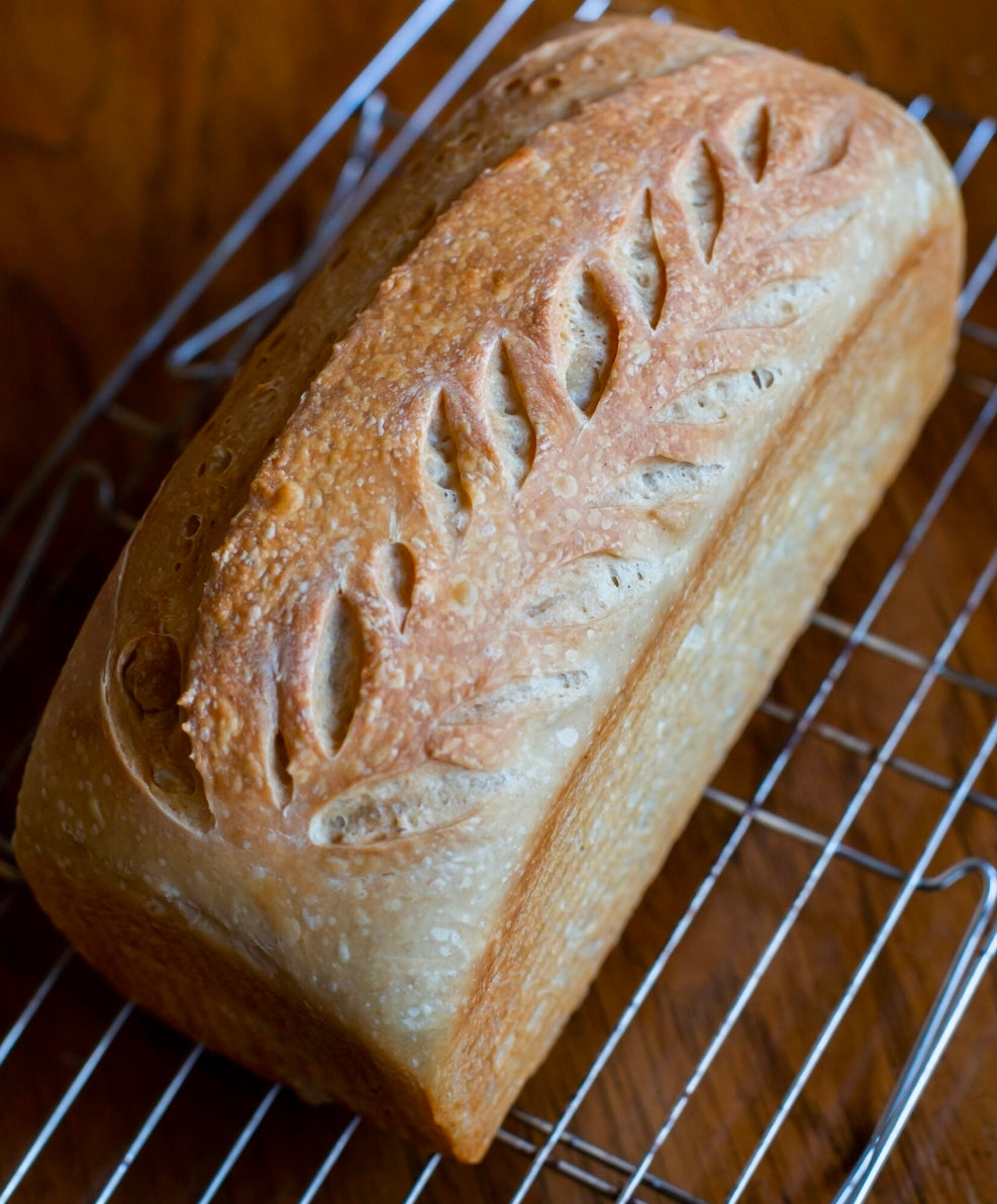 Plain Sourdough Sandwich Bread Loaf