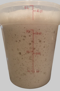 Dehydrated Sourdough Starter